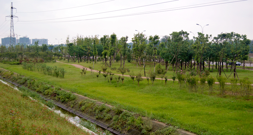 湖北·316 國道老河口市城區(qū)梨花大道景觀項(xiàng)目